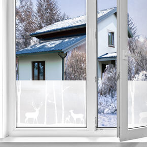 Fensterfolie static window border Birch Woods